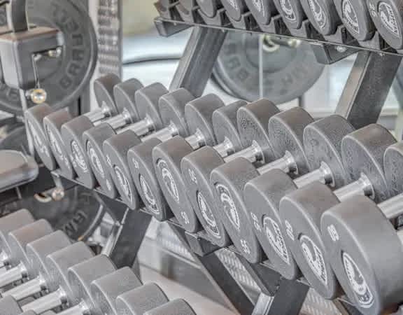 A set of dumbbells are lined up on a rack.