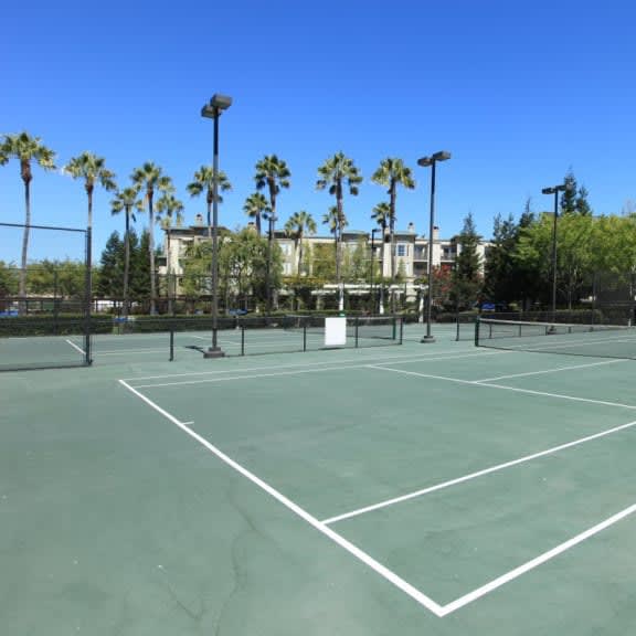 a tennis court with palm trees in the background