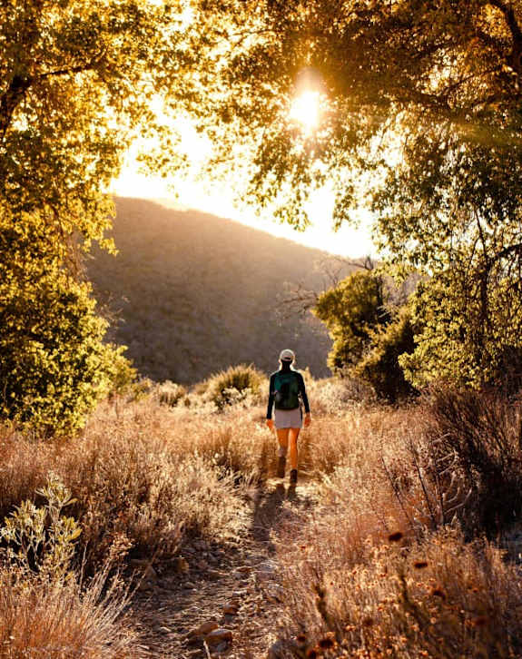 A person is walking on a trail in the woods during sunset.