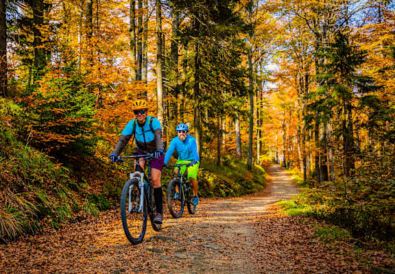 two people riding bikes down a trail in the woods at Thrive at Green Mountain, Camas, 98607