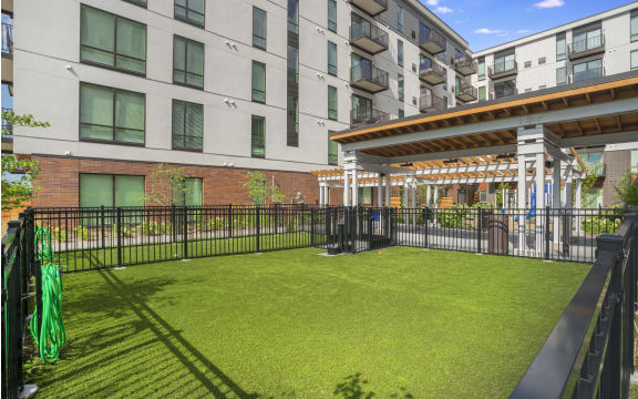 Fenced-In Dog Park