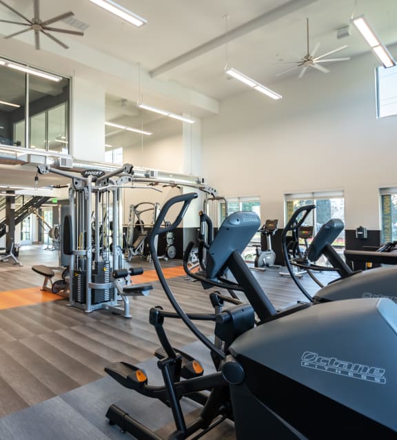 Fully Equipped Gym at Garden Lofts