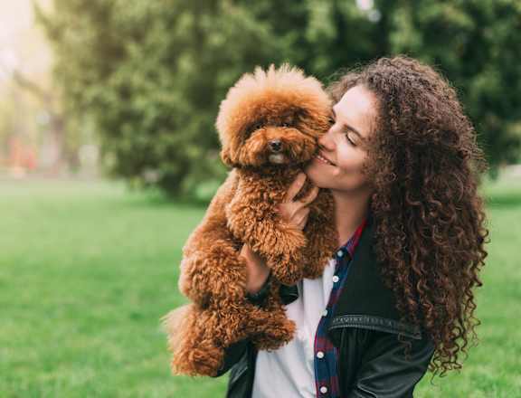 A woman is holding a brown dog in a park.
