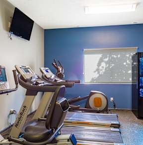 A gym room with treadmills and exercise equipment.