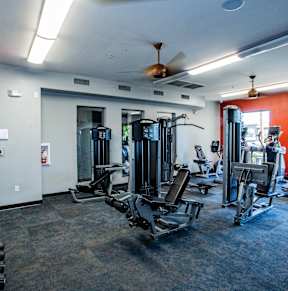 A gym with a variety of equipment including treadmills, weights, and exercise machines.