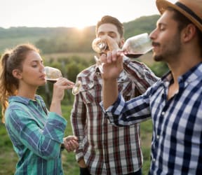 three people drinking wine from wine glasses in a vineyard