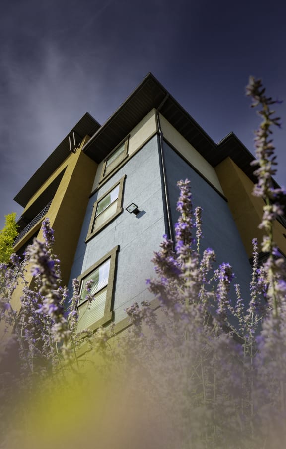 a house with purple flowers in the foreground