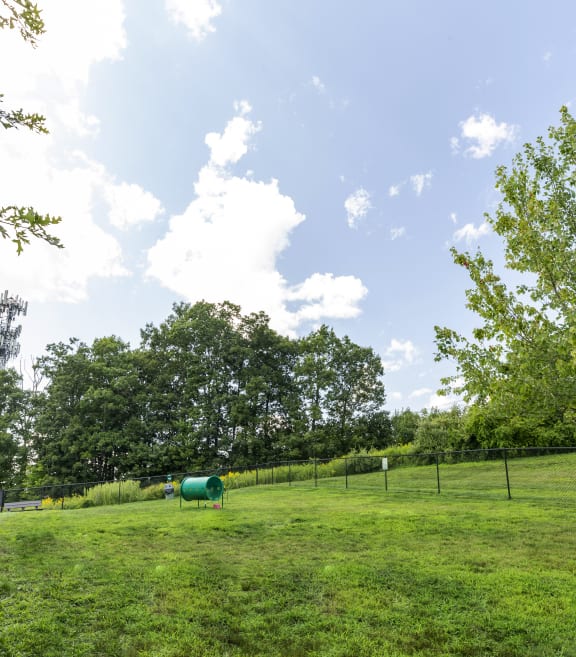 a large grassy field with trees and a fence