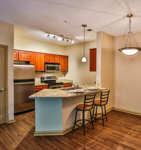 Upgraded Kitchen with Stainless Steel Appliances at Atlanta Apartments near me