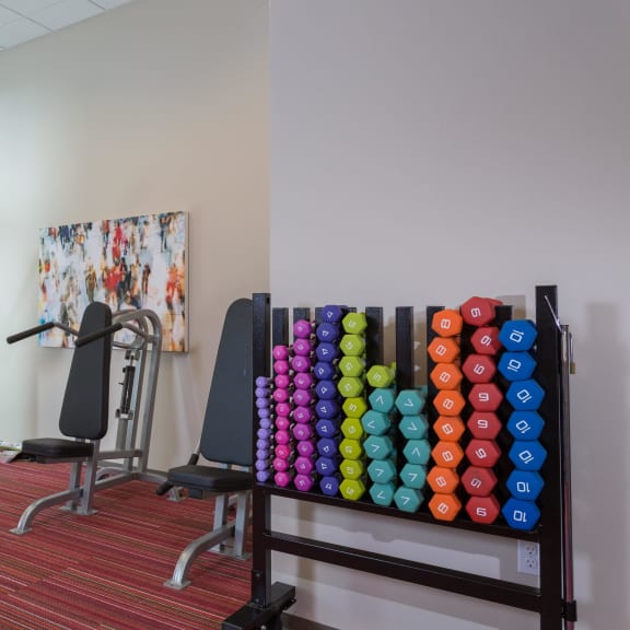 a gym with exercise equipment and a painting on the wall