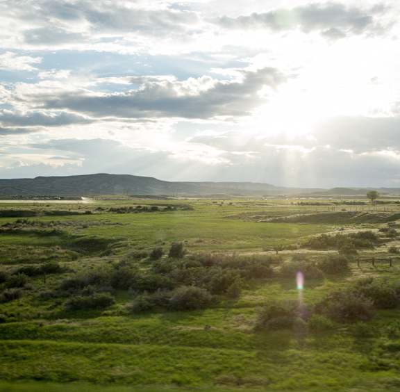 A field with green grass and a cloudy sky.
