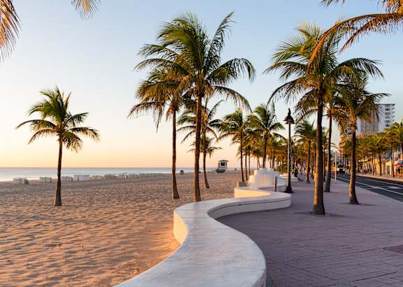 A beachside walkway with palm trees and a clear sky.
