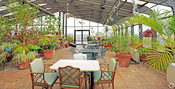 a greenhouse with tables and chairs and potted plants