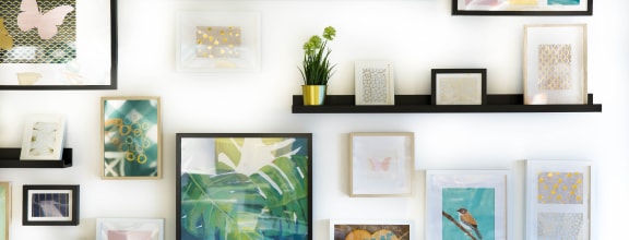 a gallery wall with framed pictures and plants