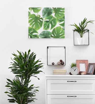 A white drawer cabinet with a clock and a potted plant on top.