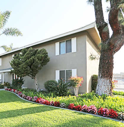 A house with a palm tree in front of it.