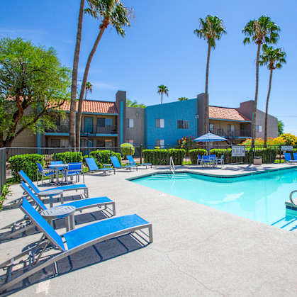 A pool surrounded by palm trees and sun loungers.