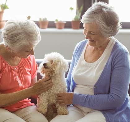 Two women sitting on a couch petting a dog.