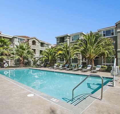 A swimming pool surrounded by palm trees and lounge chairs in front of apartment buildings.