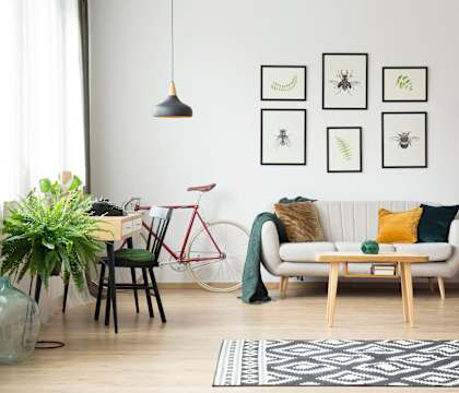 A living room with a white couch, a red bicycle, and a green plant.