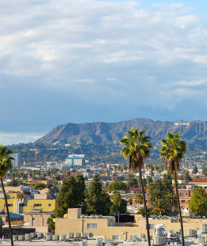 a cityscape with palm trees in the foreground and mountains in the background