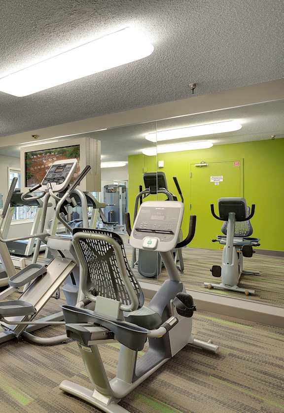 A gym with treadmills, exercise bikes and other equipment.