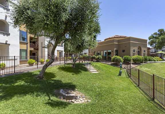Dog park at Trevi Apartment Homes, Arizona, 85224