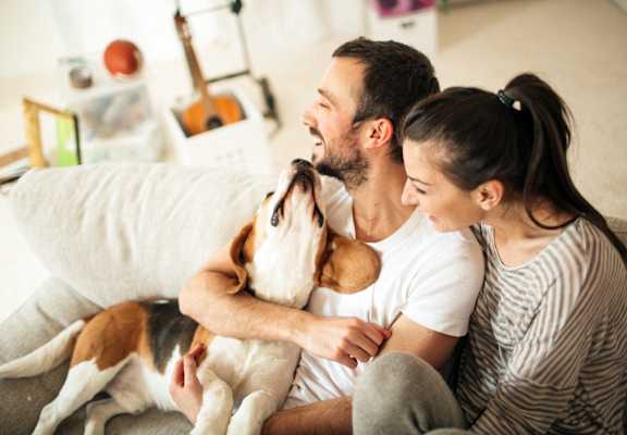 a man and woman sitting on a couch playing with a dog at The Grove Brentwood, Nashville, TN 37211