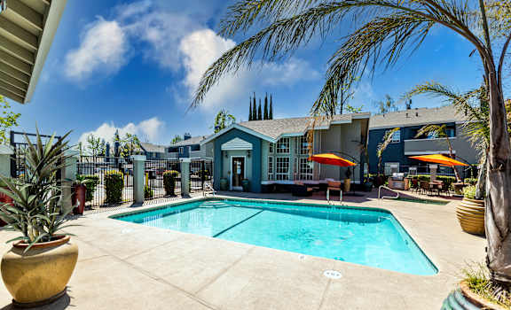 A large outdoor swimming pool surrounded by palm trees and patio furniture.