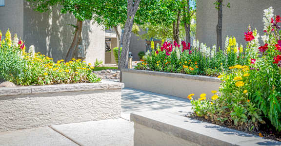 Walkway through Rio Seco
