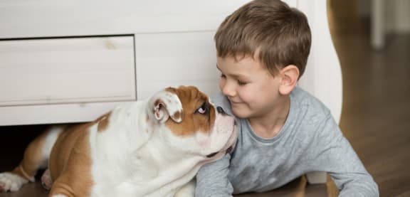 boy and bulldog