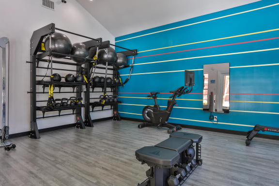 a fitness room with weights machines and a punching bag