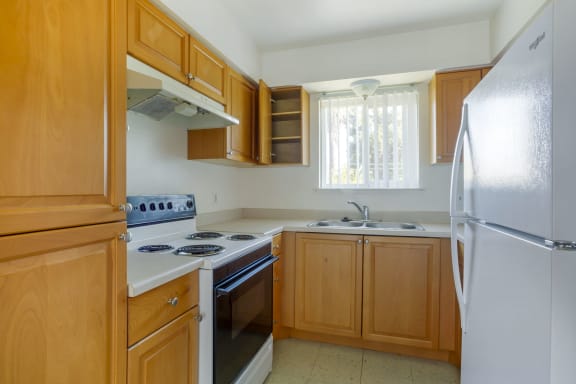 U shaped Kitchen