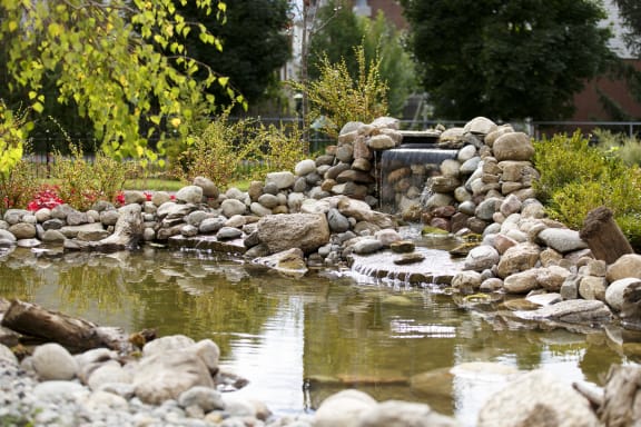 A small waterfall flows into a pond in a park