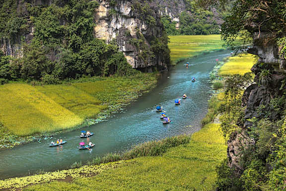 A river with boats and greenery on the banks.