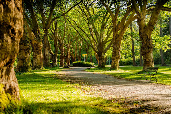 Park in the Woods at The Foundry Apartments, Bordon, GU35 9FE