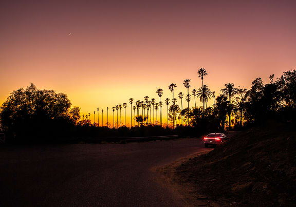 a car drives down a dirt road at sunset with palm trees in the background