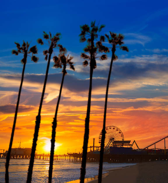 A beautiful sunset at the beach with palm trees and a Ferris wheel in the background.