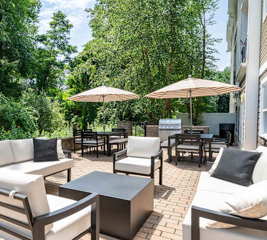 A patio with white couches, chairs, and umbrellas surrounded by trees.