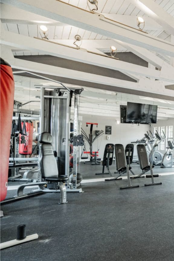 a gym with weights and cardio machines in it