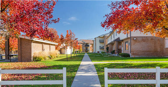 A tree with red leaves is on the left and a tree with orange leaves is on the right.