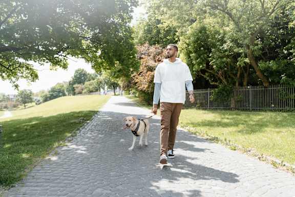 A man walking a dog on a paved path in a park.