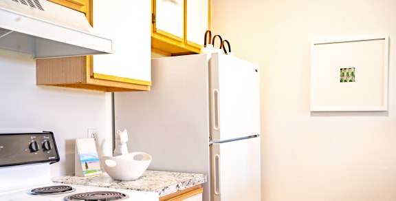a kitchen with a stove and a refrigerator