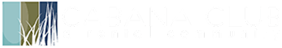 A graphic with a white background and a blue and brown design on the left side.