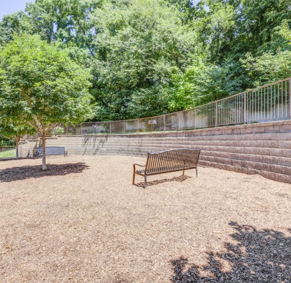 Dog Park