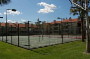 Monterey Village Tennis and Basketball Courts