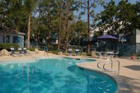Sycamore Springs Pool