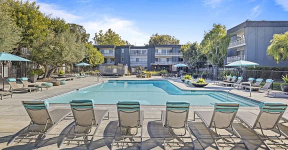 Pool with lounge chairs