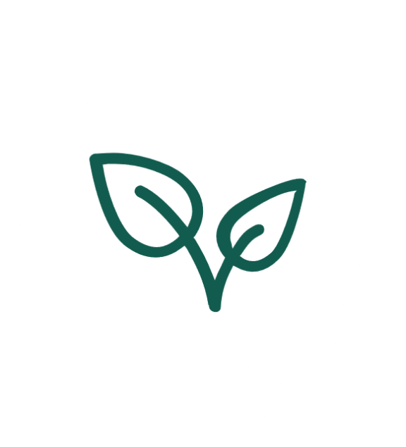 a circle with two arrows and a green symbol