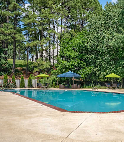 A large swimming pool surrounded by trees and umbrellas.